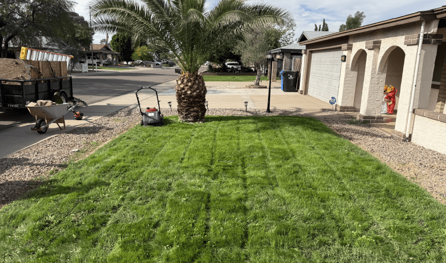 LAWN MAINTENANCE